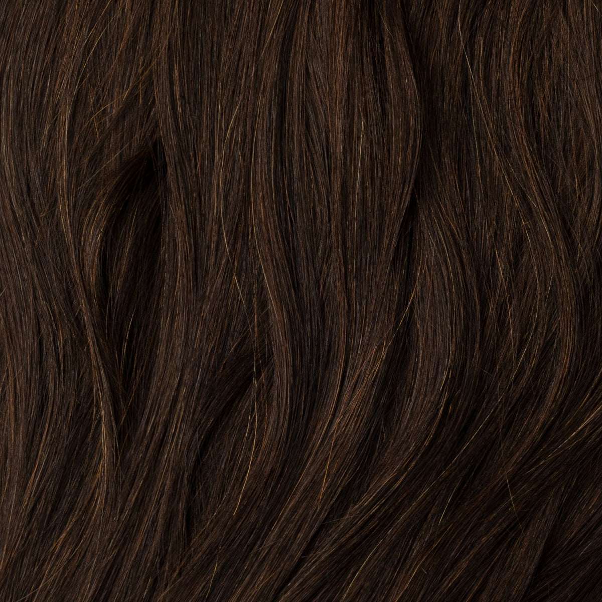 Coleta postiza color chocolate oscuro #1B