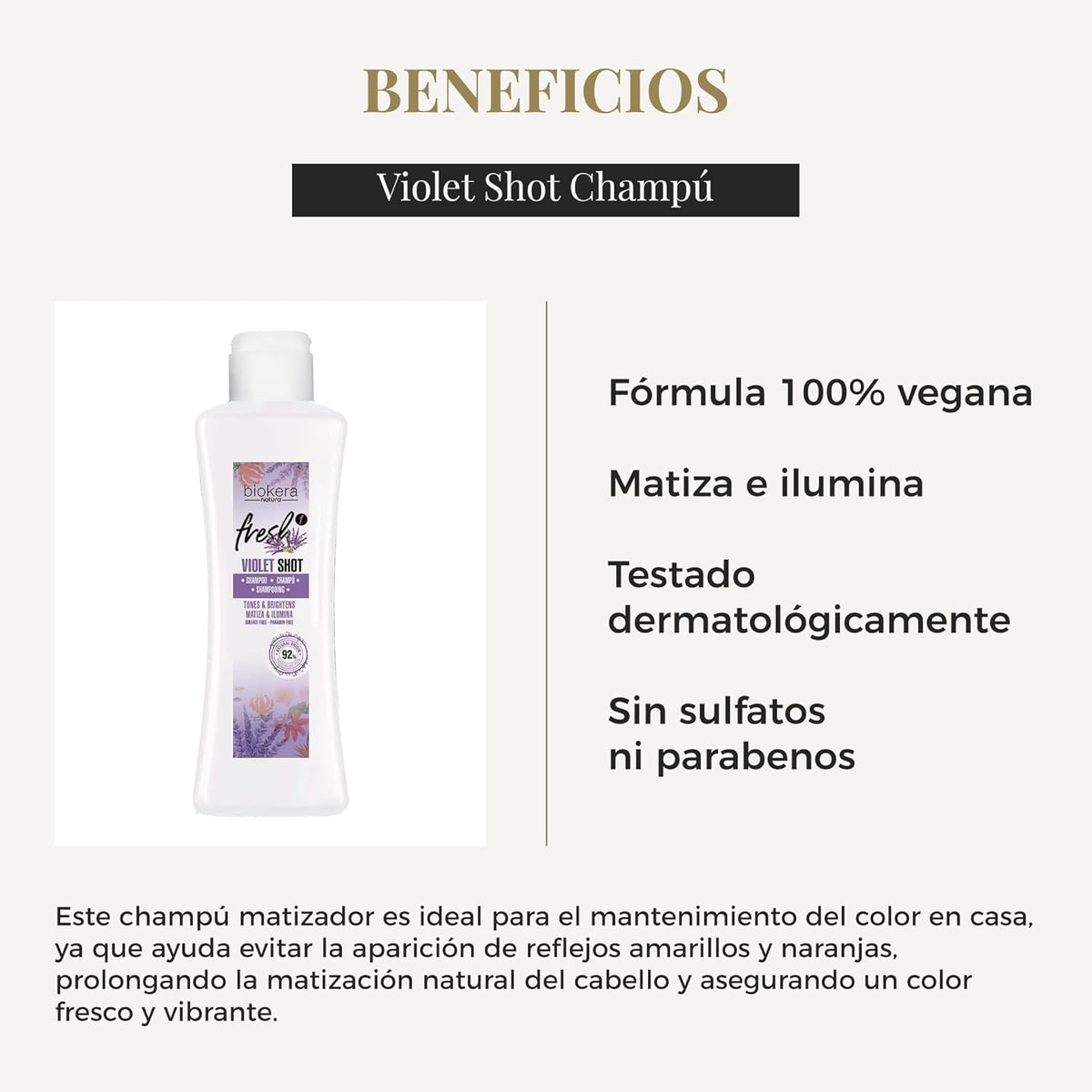 SALERM - Violet Shot Champú