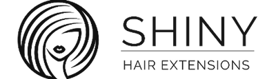 extensionesdepeloshiny
